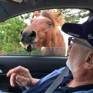 Meet your Posher, Keith